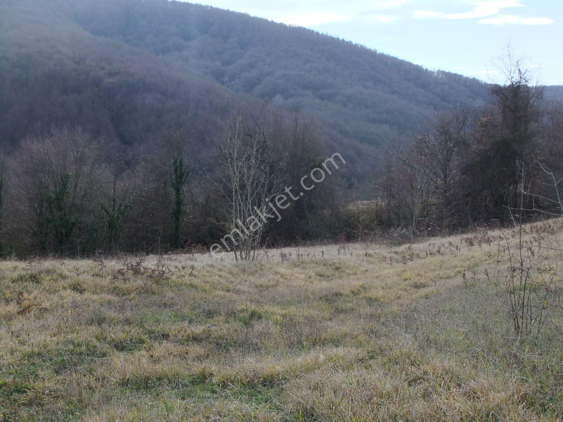 Kandıra/ahmethacılar Köyünde Yatırımlık 2 Adet Tarla. - Görsel 27