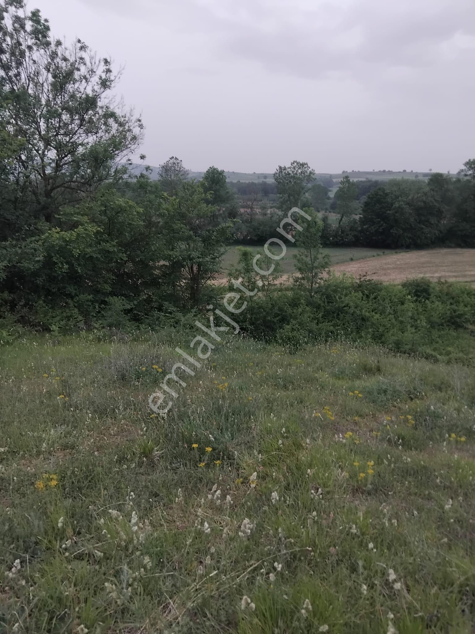 Kandıra/ahmethacılar Köyünde Yatırımlık 2 Adet Tarla. - Görsel 9