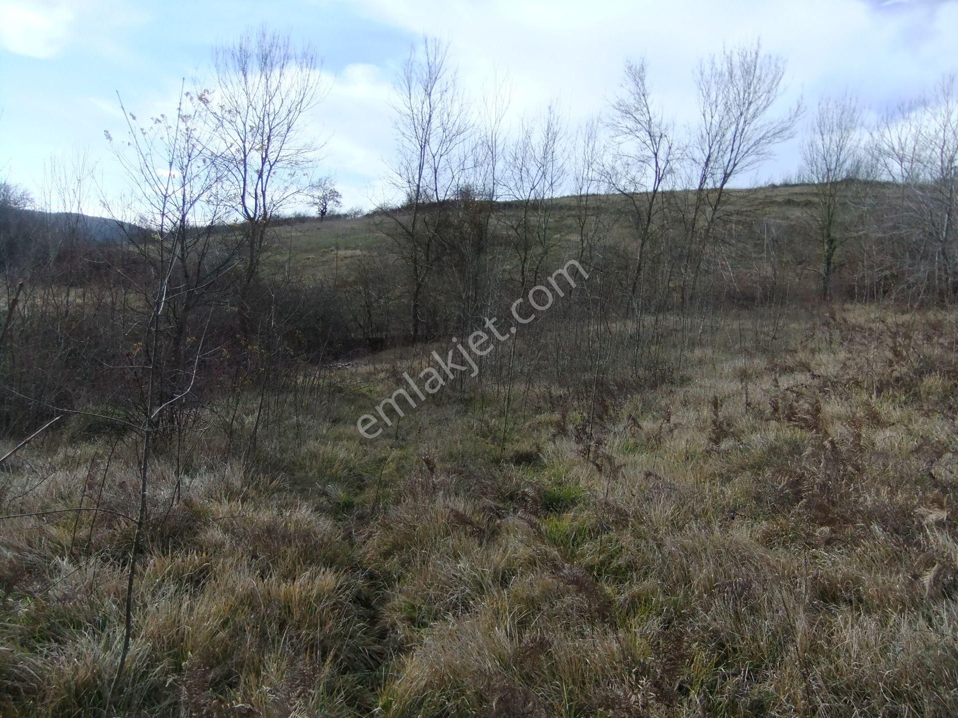 Kandıra/ahmethacılar Köyünde Yatırımlık 2 Adet Tarla. - Görsel 28