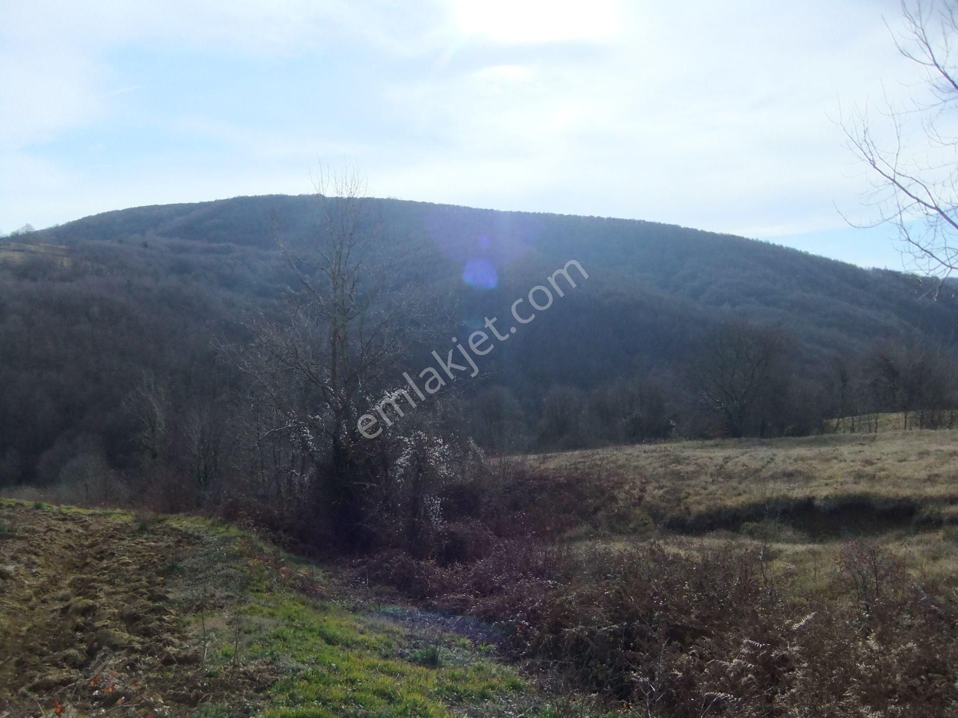 Kandıra/ahmethacılar Köyünde Yatırımlık 2 Adet Tarla. - Görsel 21