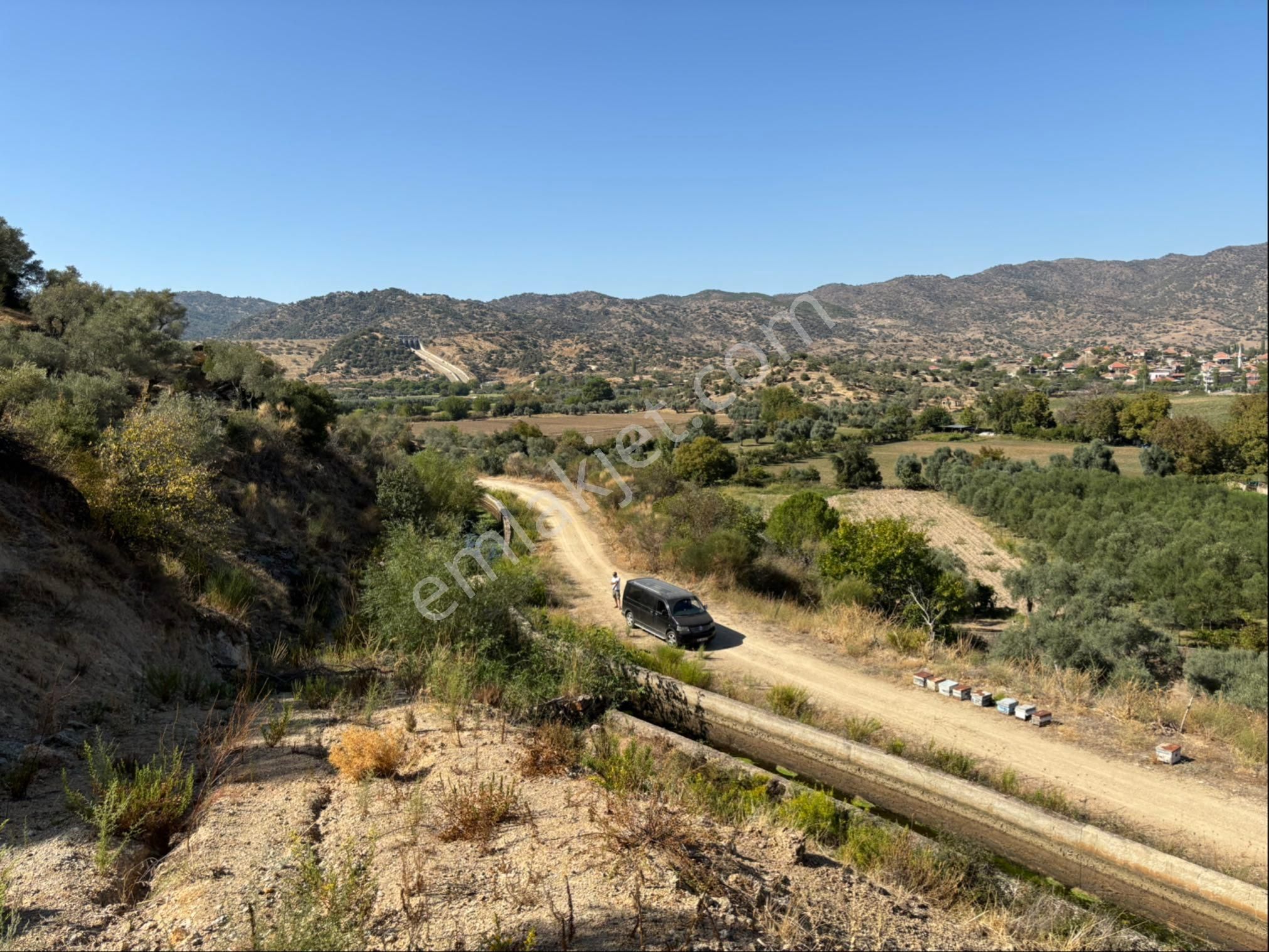 Aydın Karpuzluda Satılık Zeytinlik - Görsel 4