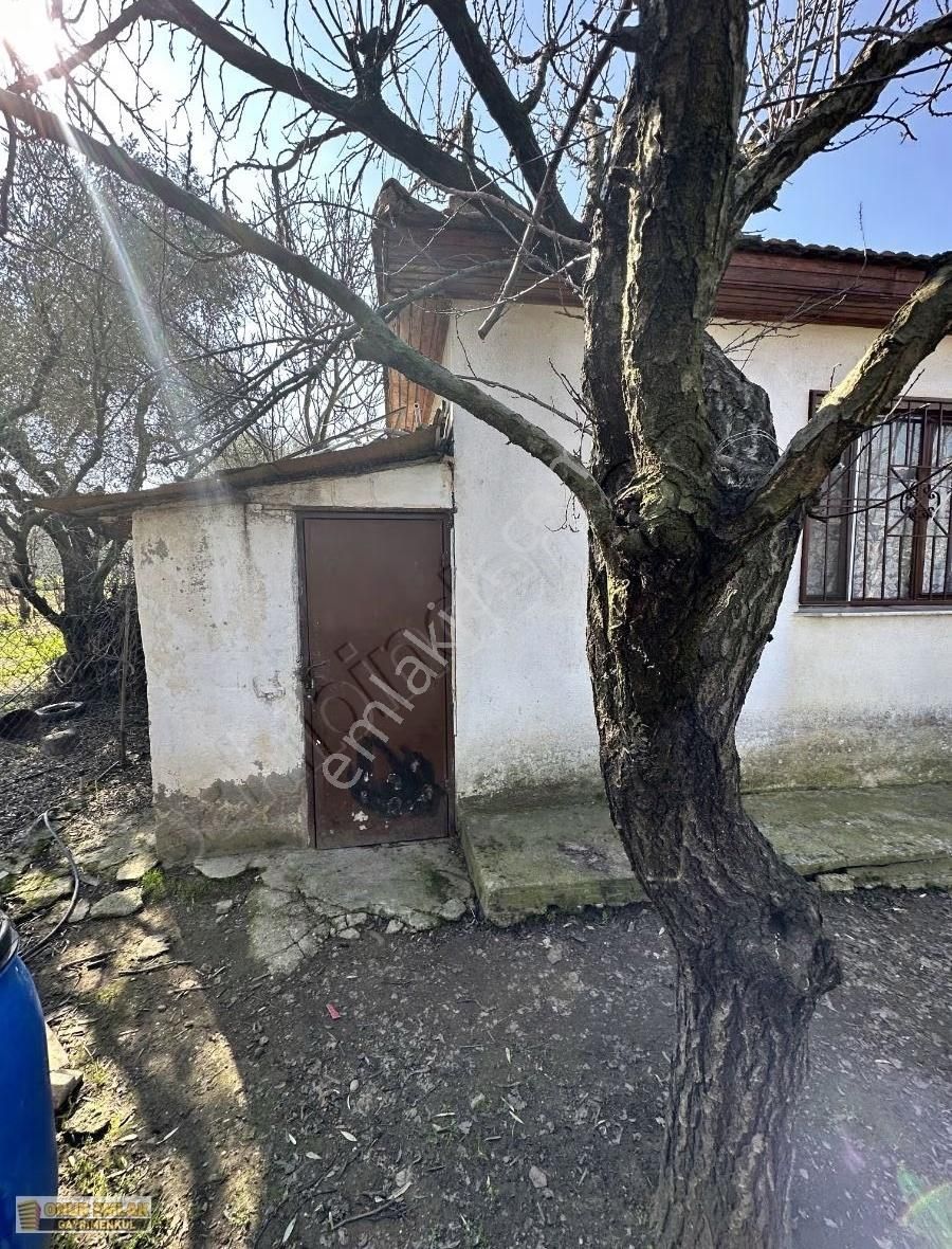 Arıkaltı Yoluna Cepheli Yaşam Bahçesi - Görsel 10