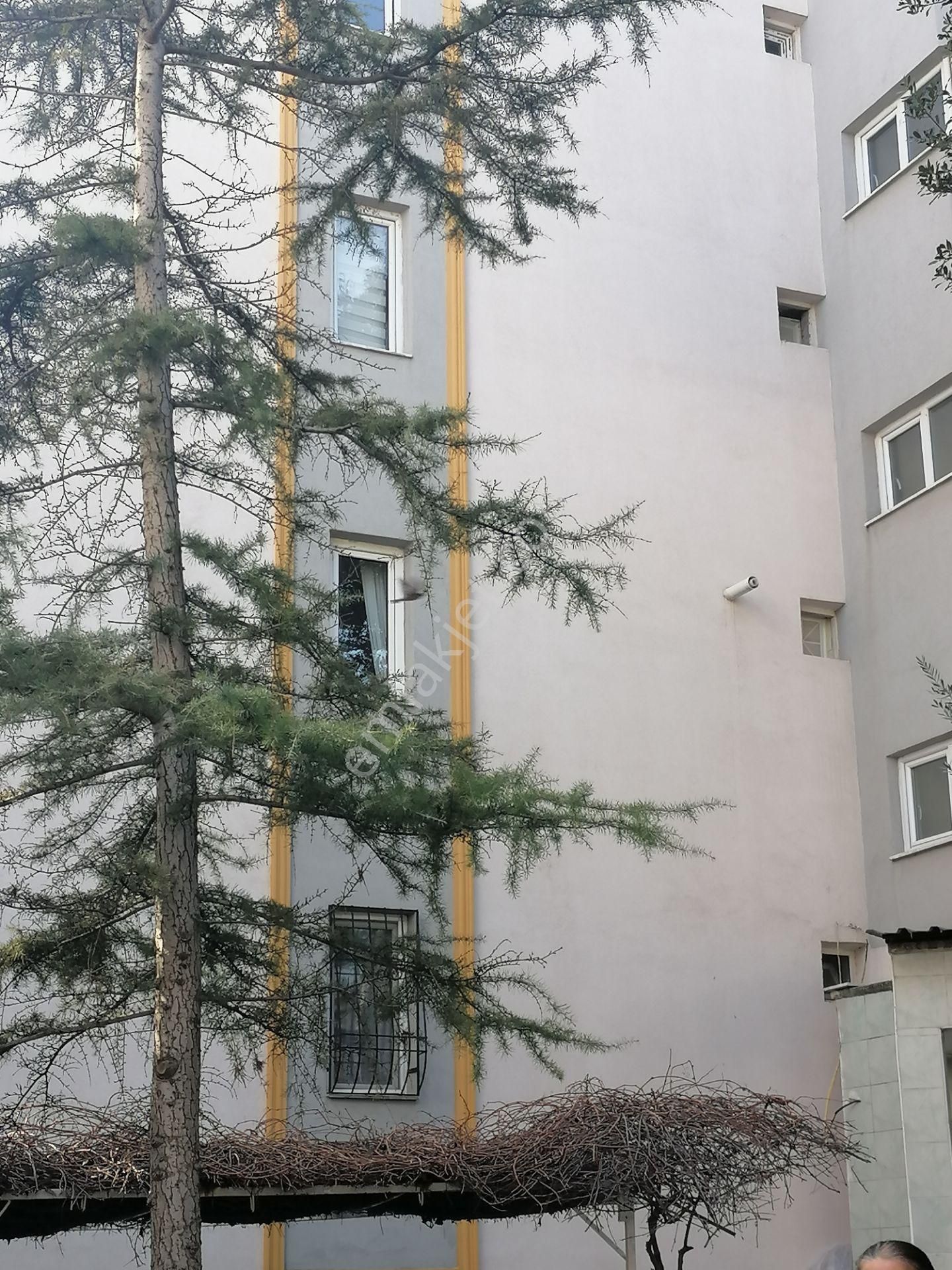 Site İçinde Sahibinden Acil Satılık Daire - Görsel 2