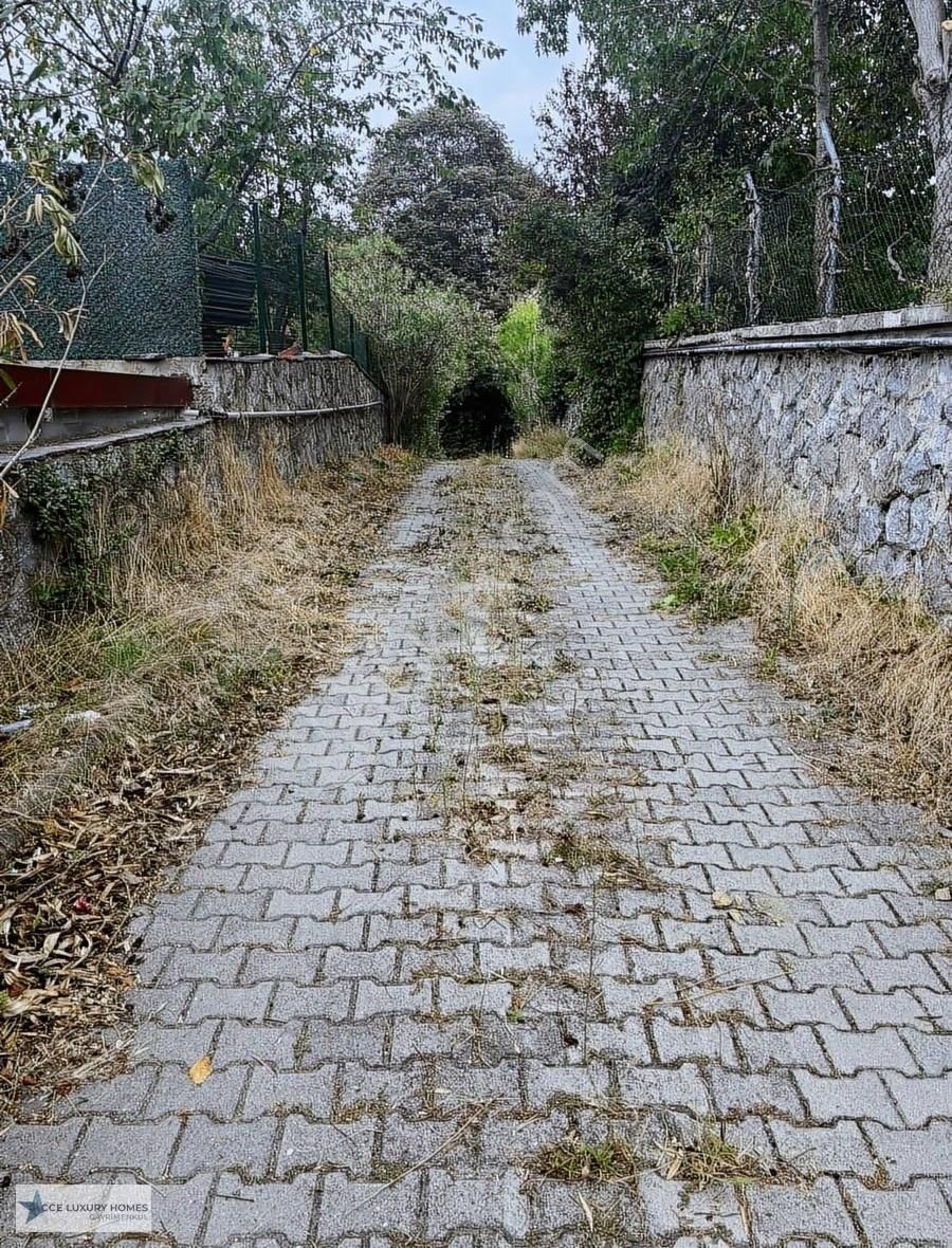 Beykoz Görele'de Acarkent Karşısı Satılık Villa - Görsel 5