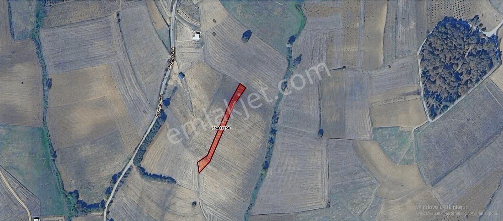 Şükran Gayrimenkul'den Büyükhataplıda Yola Yakın Satılık Tarla - Görsel 2