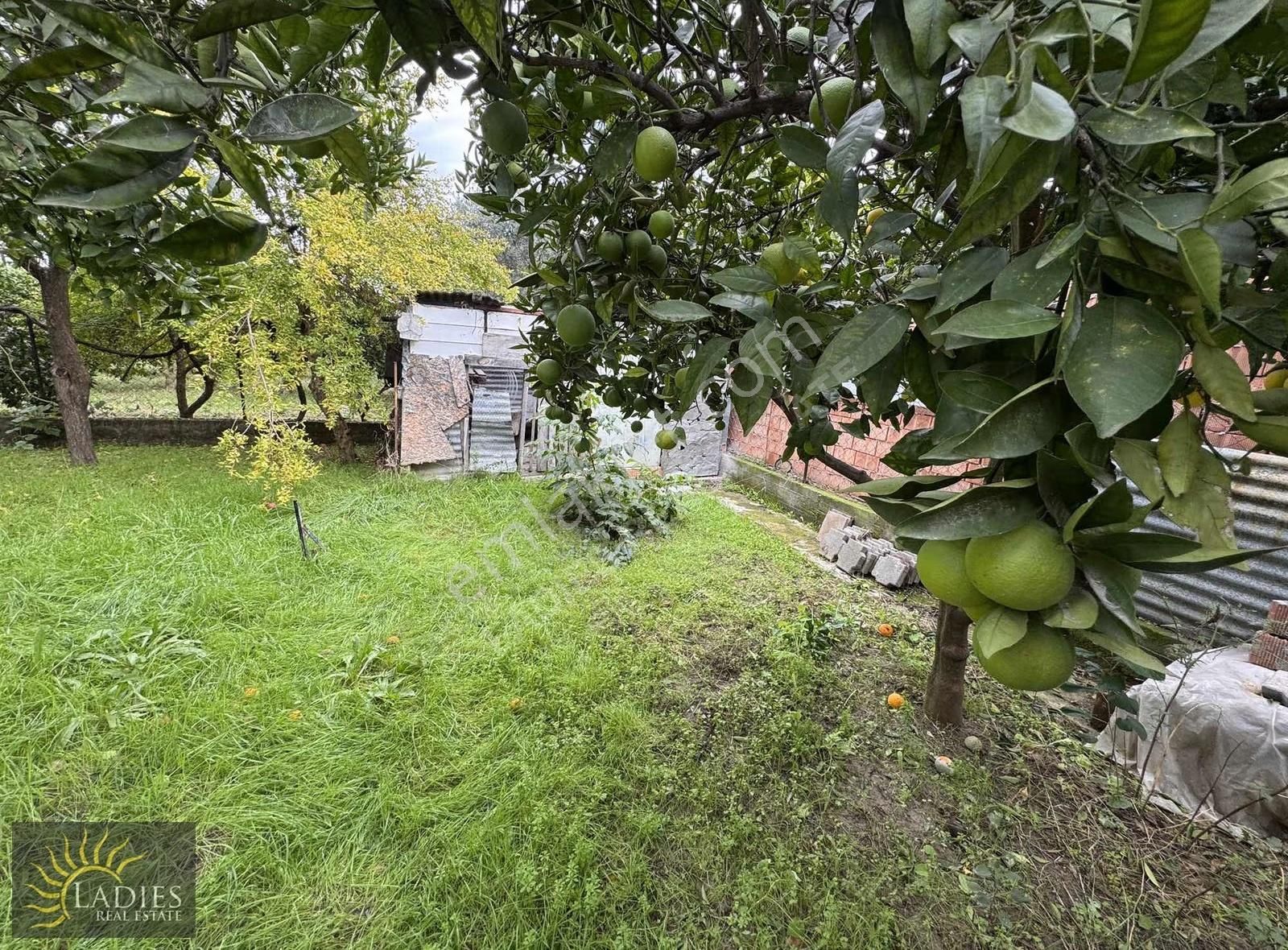 Karaçalı'da 517 M2 Arsa İçinde Satılık Müstakil Villa - Görsel 12