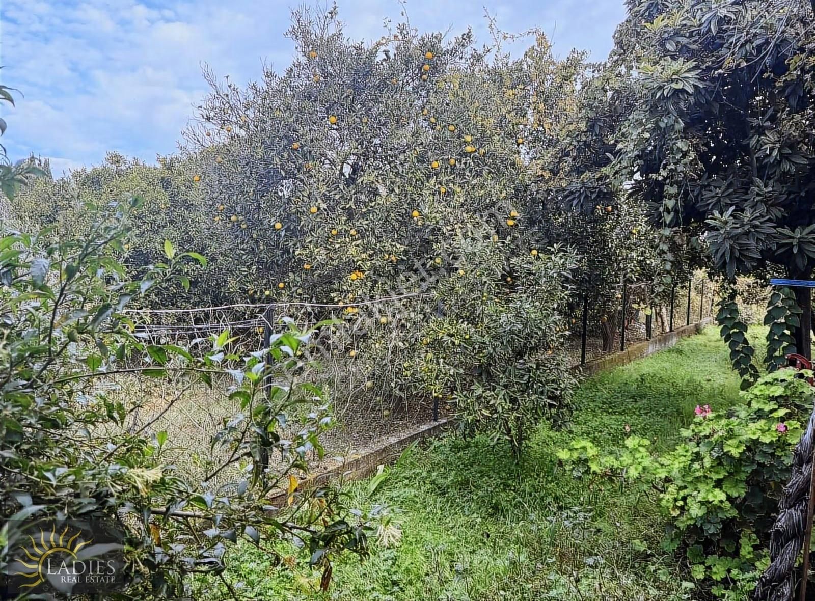 Karaçalı'da 517 M2 Arsa İçinde Satılık Müstakil Villa - Görsel 20