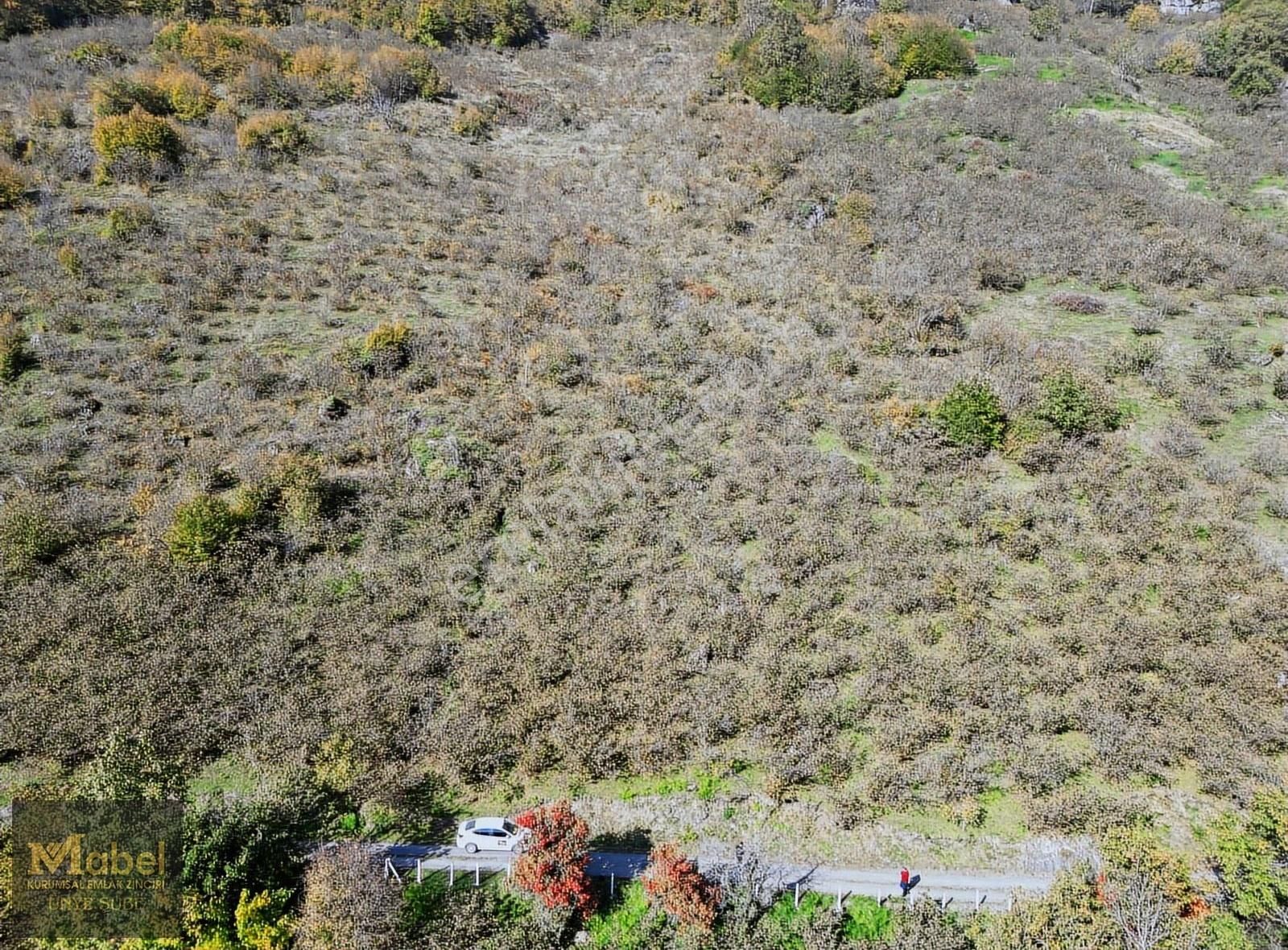 Mabel'den Fırsat! Müstakil Tapulu Yol Kenarı 4500m2 Fırsat Tarla