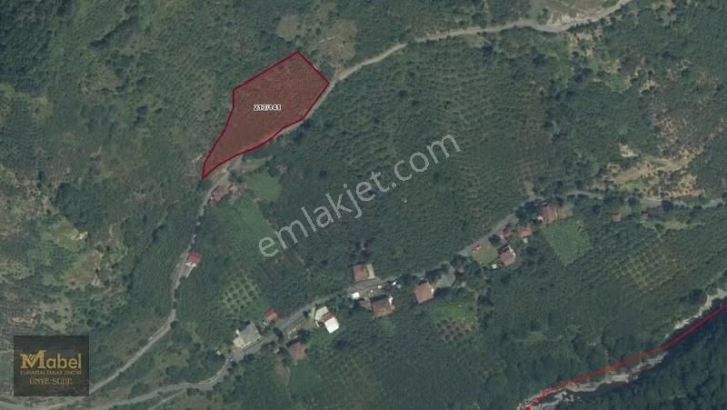 Mabel'den Fırsat! Müstakil Tapulu Yol Kenarı 4500m2 Fırsat Tarla - Görsel 2