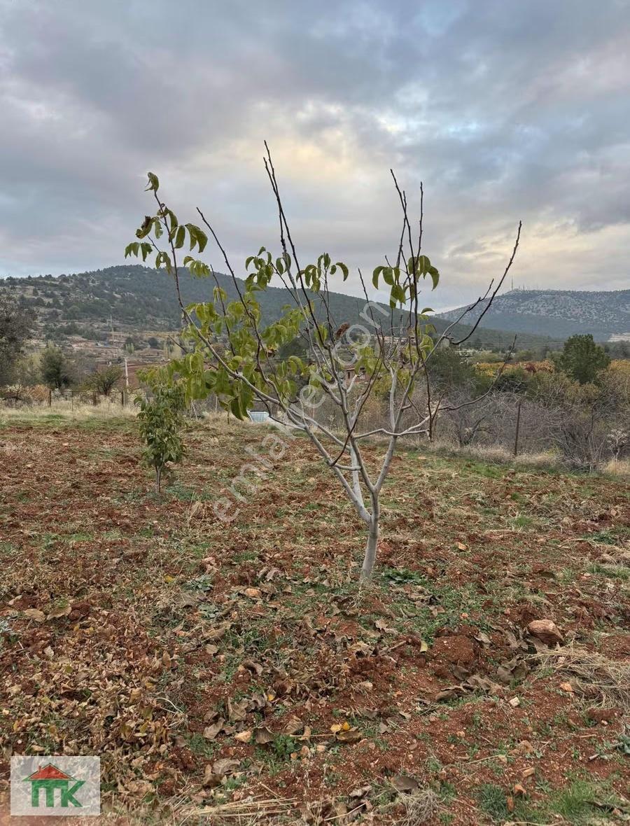 Satılık Hobi Bahçesi Evi Mevcut Yatırım İçin Uygundur - Görsel 5