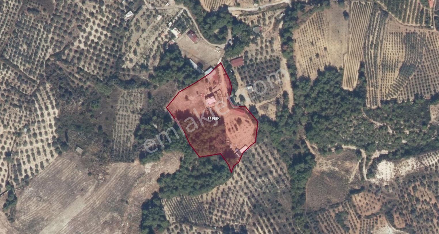 Kuşadası Kirazlı'da Yaşam Ve Yatırım İçin Mükemmel Çiftlik - Görsel 13