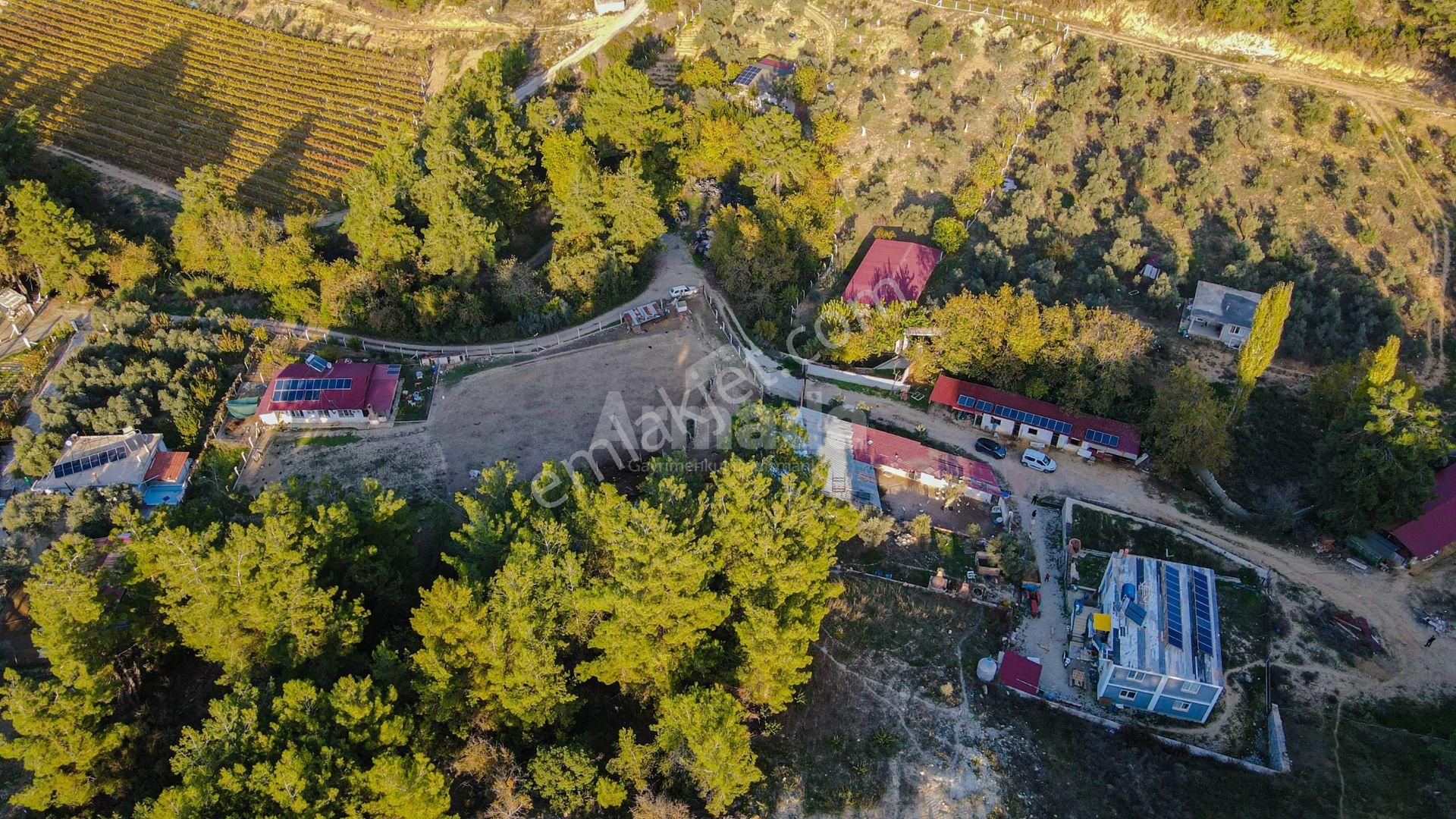Kuşadası Kirazlı'da Yaşam Ve Yatırım İçin Mükemmel Çiftlik - Görsel 10