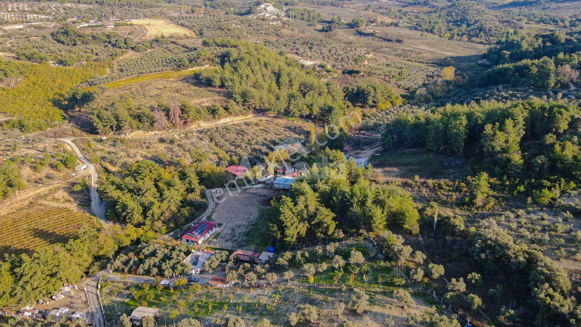 Kuşadası Kirazlı'da Yaşam Ve Yatırım İçin Mükemmel Çiftlik - Görsel 6