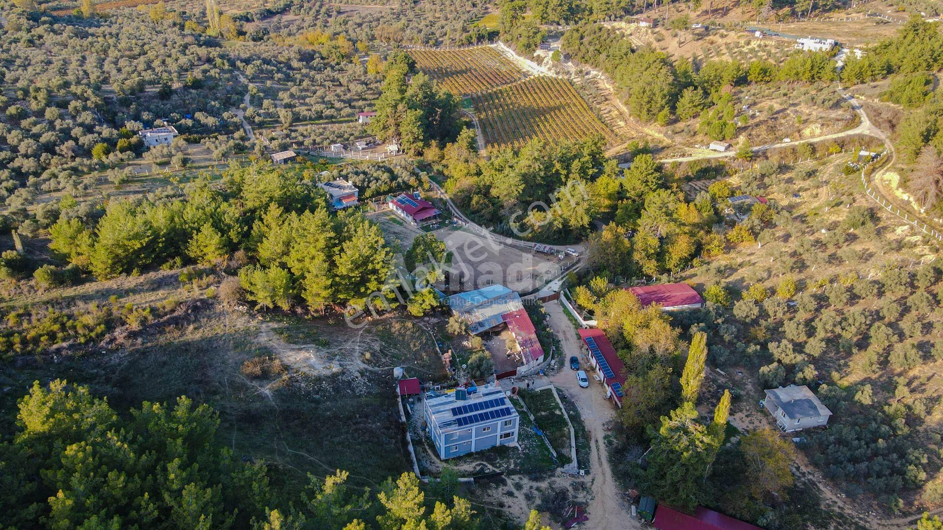 Kuşadası Kirazlı'da Yaşam Ve Yatırım İçin Mükemmel Çiftlik - Görsel 9