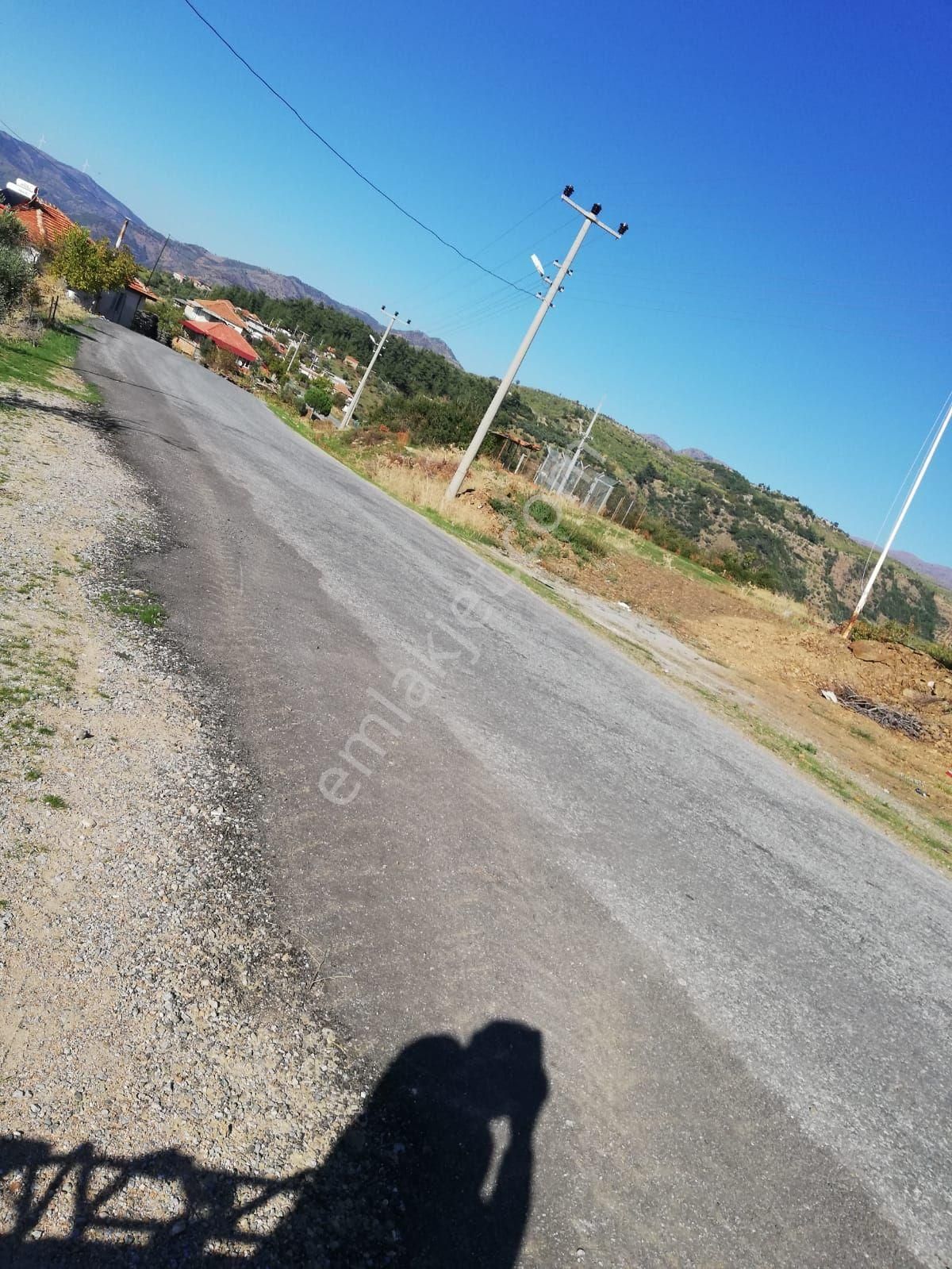 Aydın İncirliova Beyköy Mah. Satılık İncir Bahçesi - Görsel 14