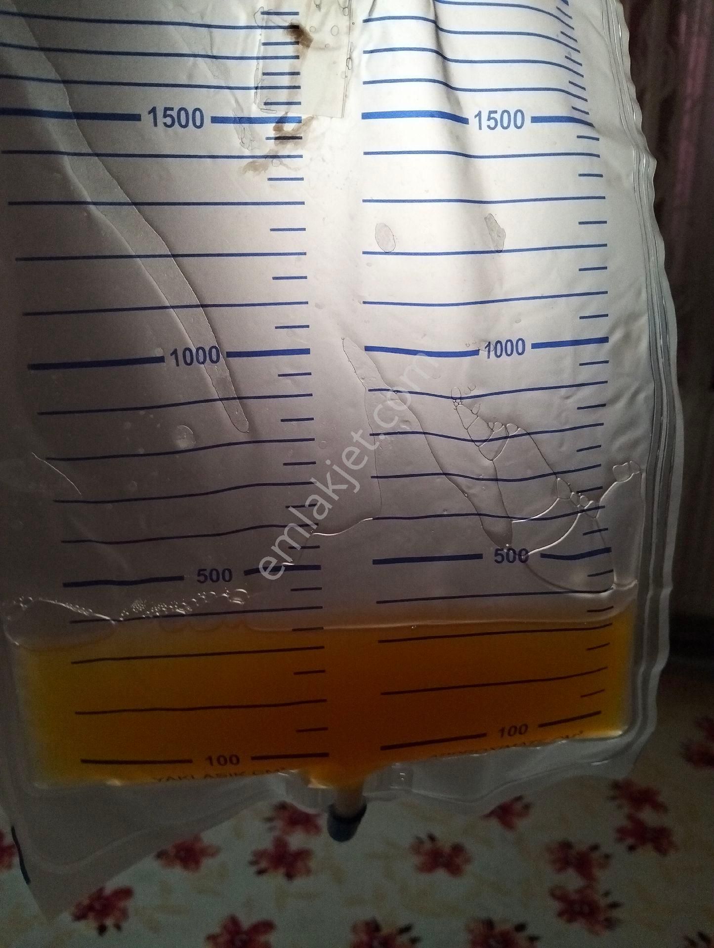 Aydın İncirliova Kurtuluş Mah. Satılık Müstakil Ev - Görsel 15