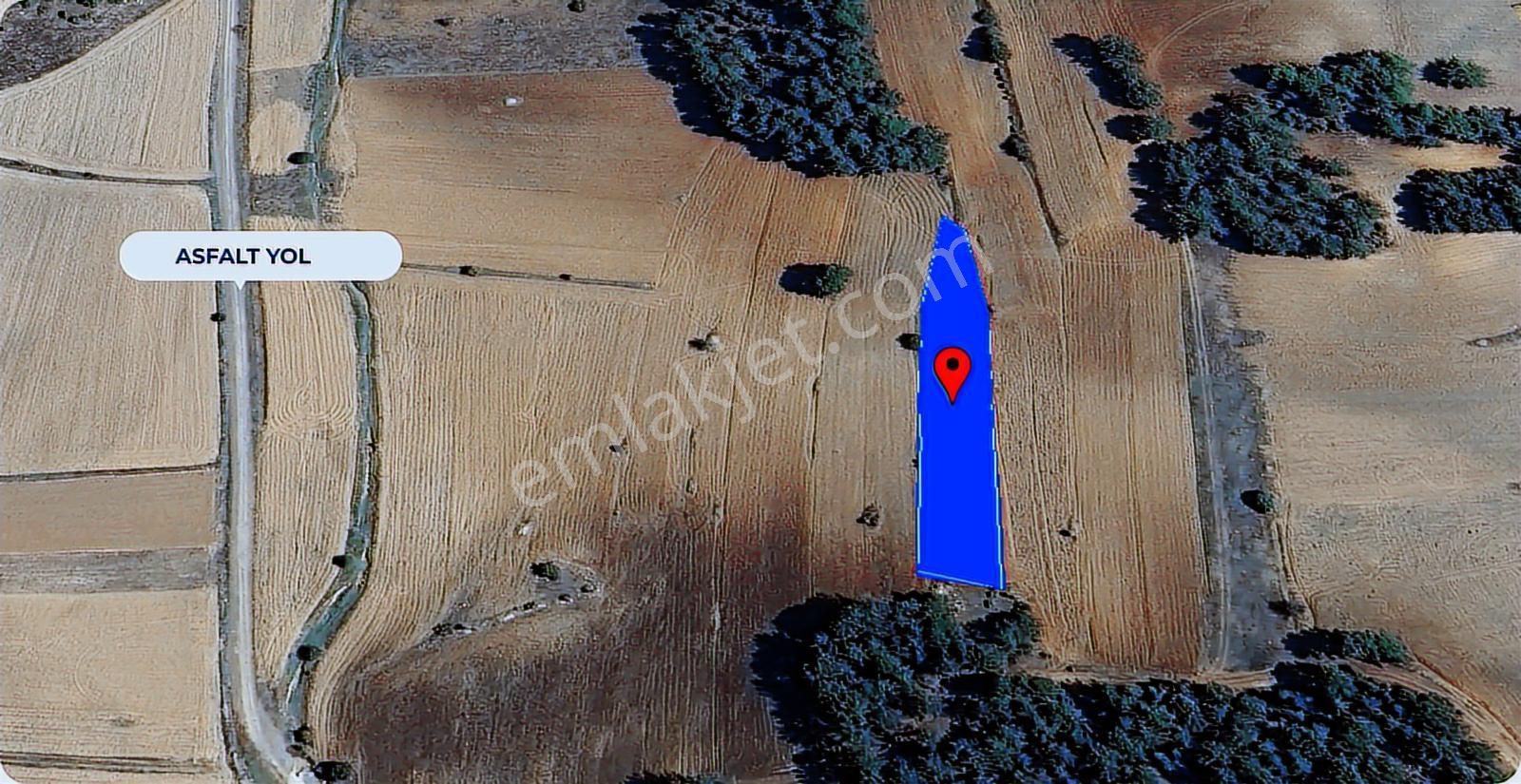 Kütahya Aslanapa 'da 1.800 M2 Asfalt Yol Kenarı Dümdüz Arazi - Görsel 3