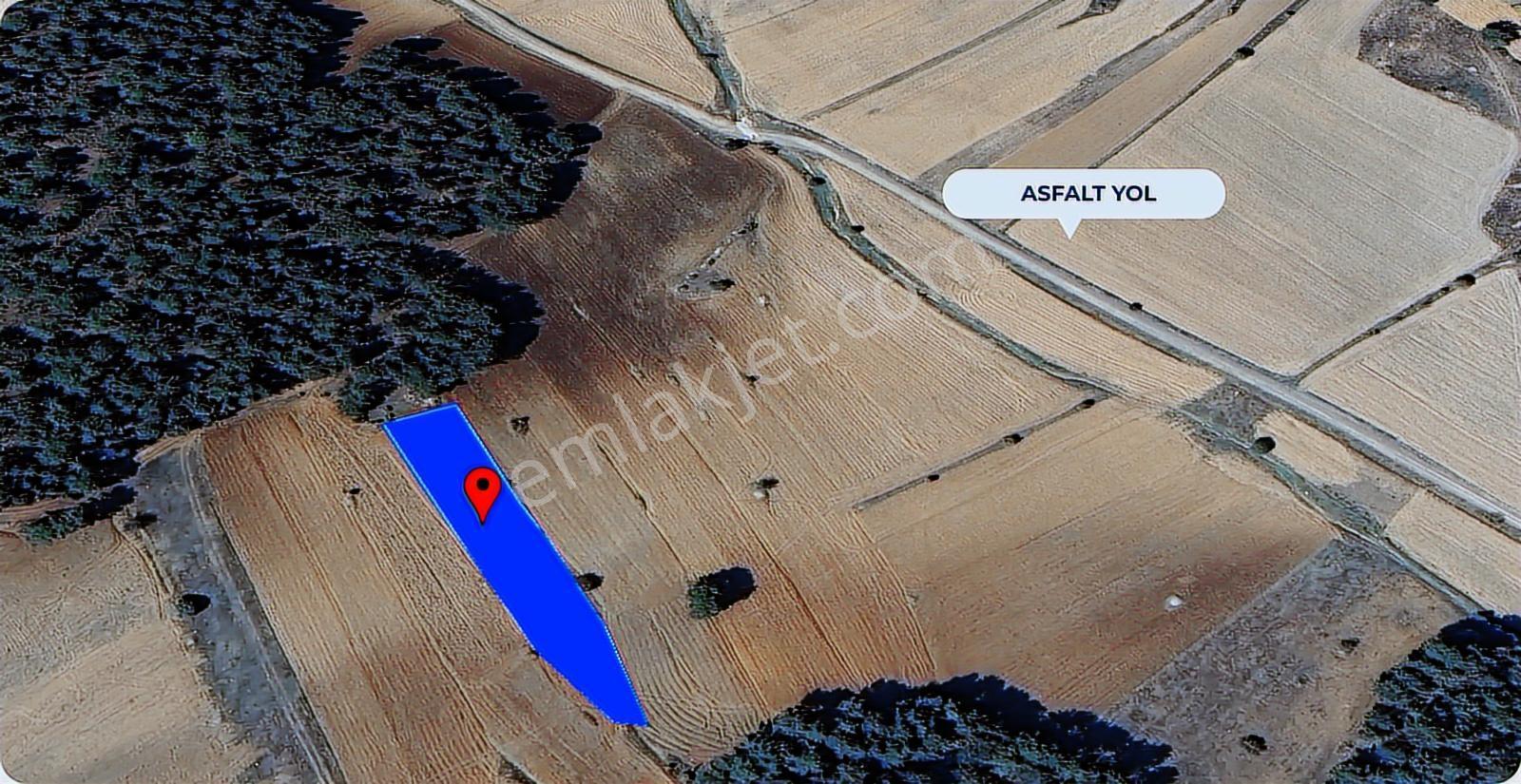 Kütahya Aslanapa 'da 1.800 M2 Asfalt Yol Kenarı Dümdüz Arazi - Görsel 2