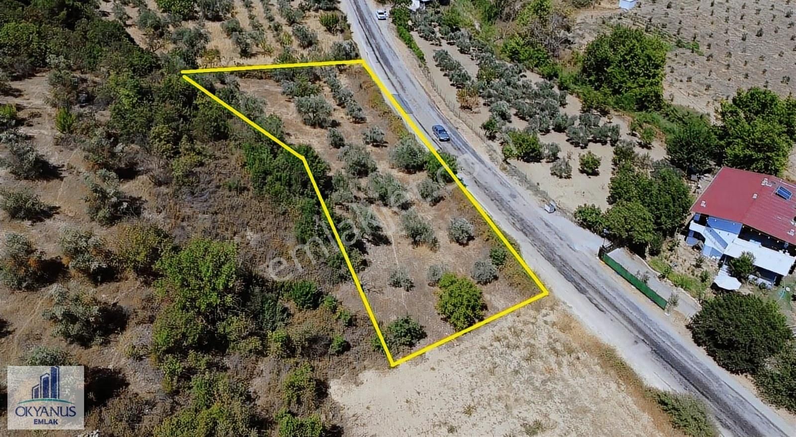 Avdal Da 2.120 M2 Zeytinlik, Asfalta Sıfır, 4 Eşit Paylı - Görsel 33