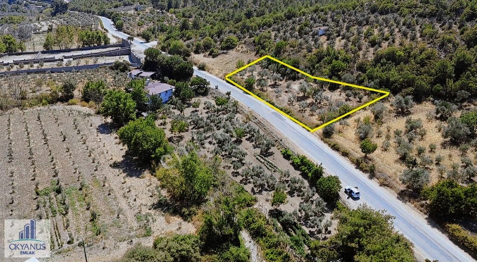 Avdal Da 2.120 M2 Zeytinlik, Asfalta Sıfır, 4 Eşit Paylı - Görsel 10