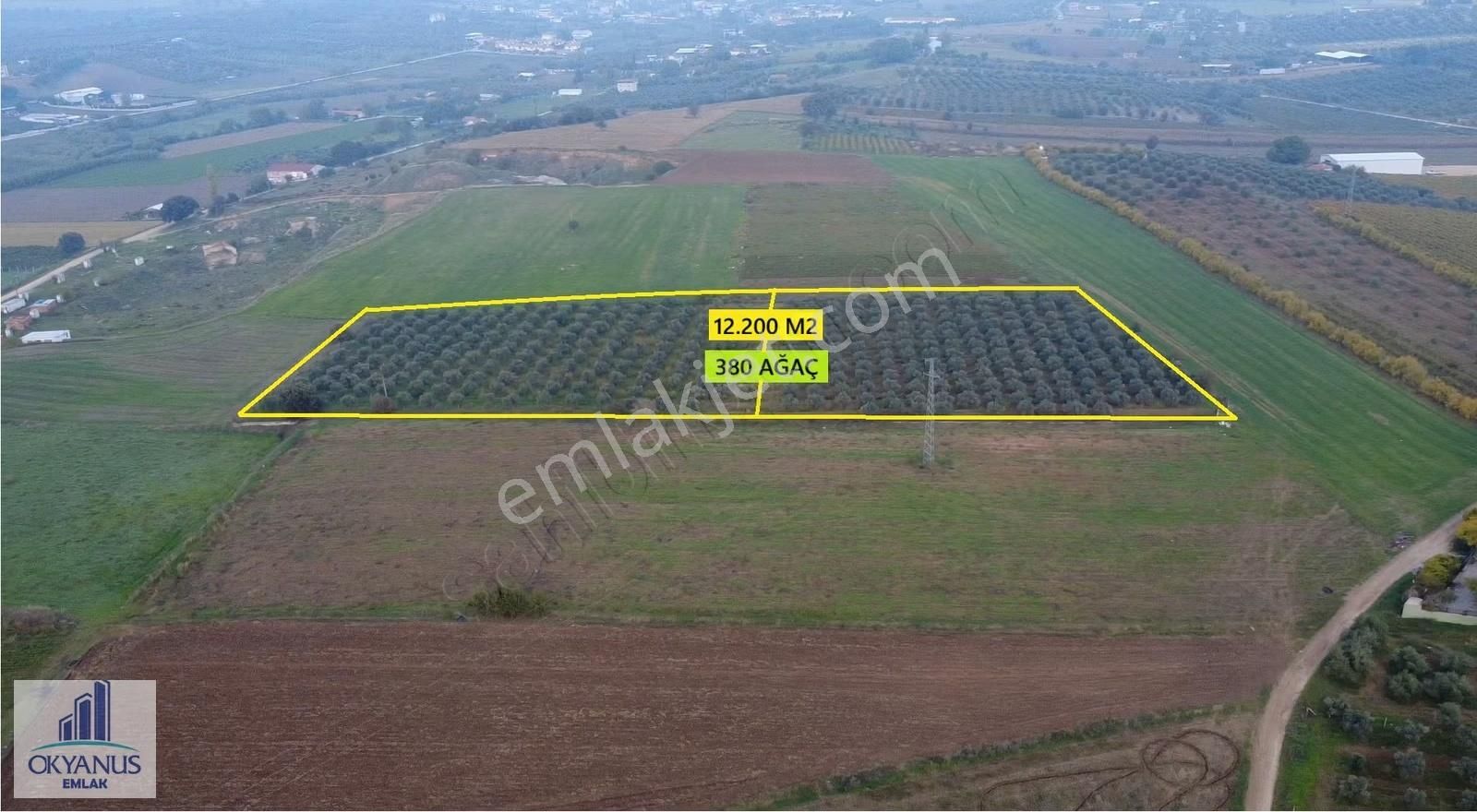 Üçpınar Da 24.800 M2 Zeytinlik, Elktrk-su-sondaj-yeraltı Damlama - Görsel 22