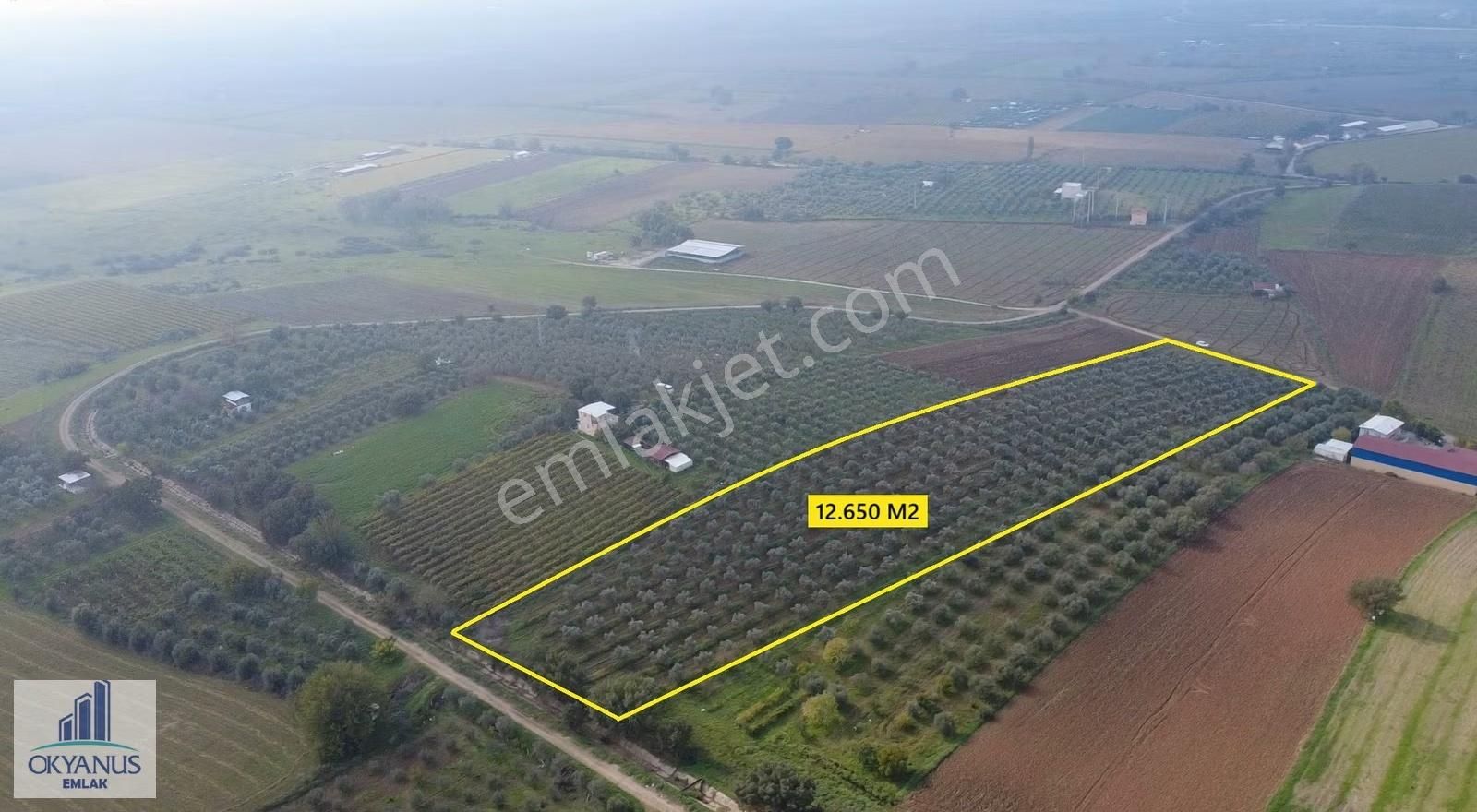 Üçpınar Da 24.800 M2 Zeytinlik, Elktrk-su-sondaj-yeraltı Damlama - Görsel 18