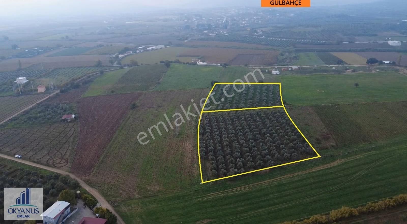 Üçpınar Da 24.800 M2 Zeytinlik, Elktrk-su-sondaj-yeraltı Damlama - Görsel 10
