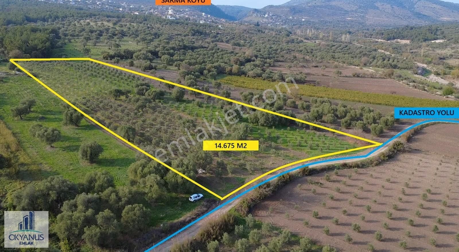 Sarma Da 9.675 M2 Zeytinlik, Yolu Var, Köye Yakın