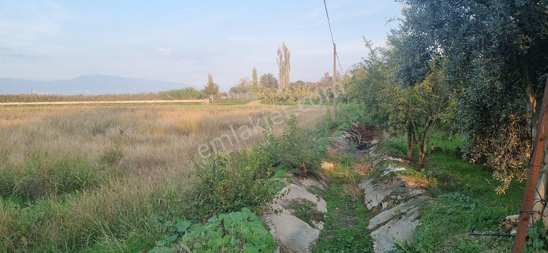 Aydın Nazilli Yöntem Emlaktan Yenipazar Donduran Mahallesi Satılık Hobi Bahçesi - Görsel 12
