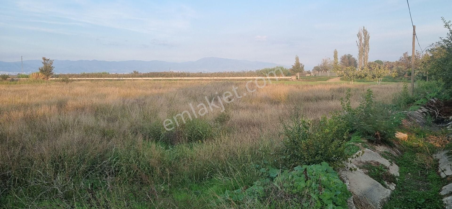 Aydın Nazilli Yöntem Emlaktan Yenipazar Donduran Mahallesi Satılık Hobi Bahçesi - Görsel 5