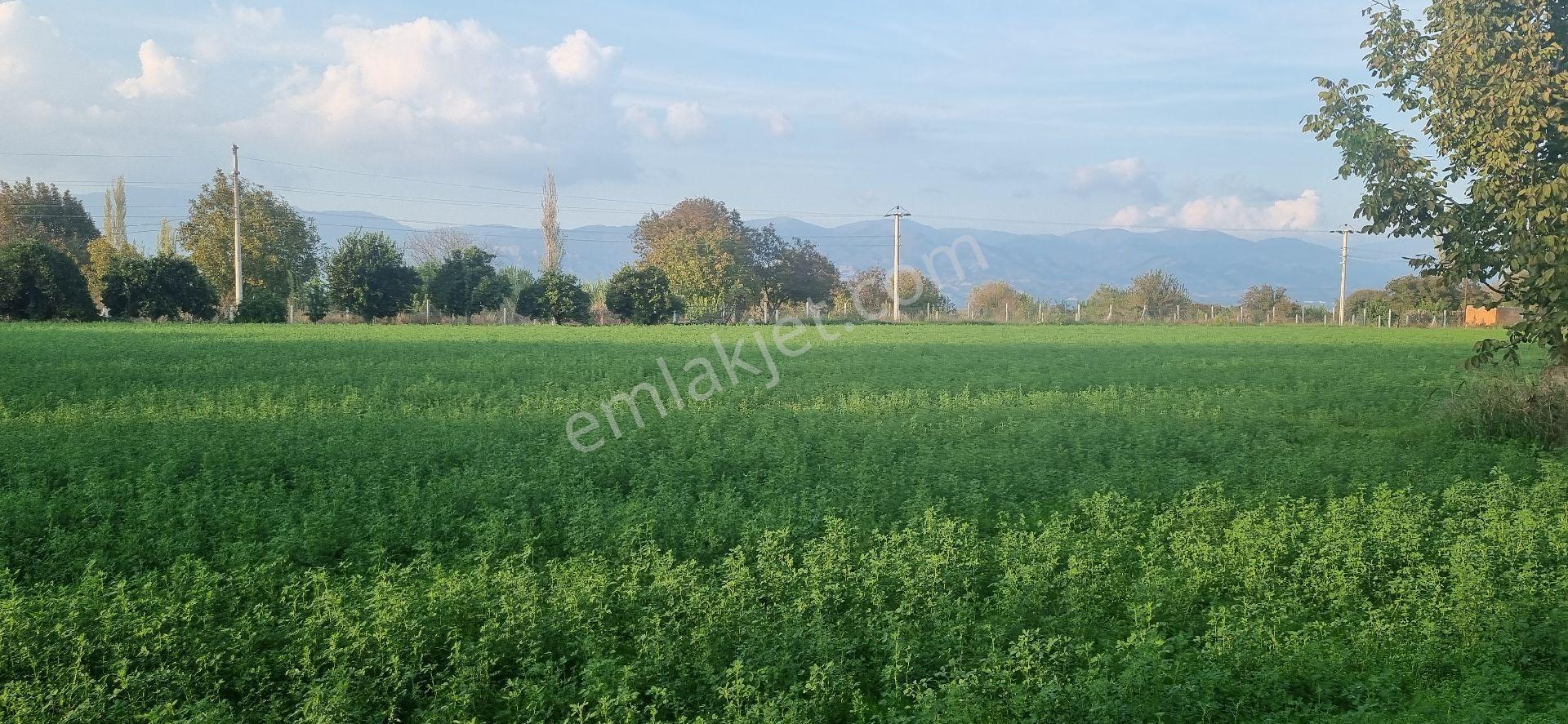 Aydın Nazilli Yöntem Emlaktan Yenipazar Donduran Mahallesinde Satılık Konut Ve Besihane İmarlı Arsa - Görsel 21