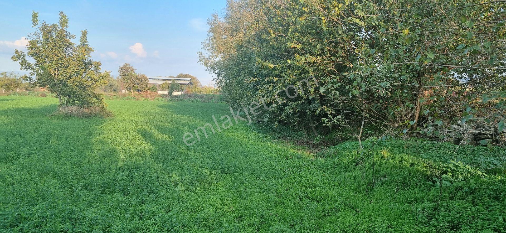 Aydın Nazilli Yöntem Emlaktan Yenipazar Donduran Mahallesinde Satılık Konut Ve Besihane İmarlı Arsa - Görsel 30