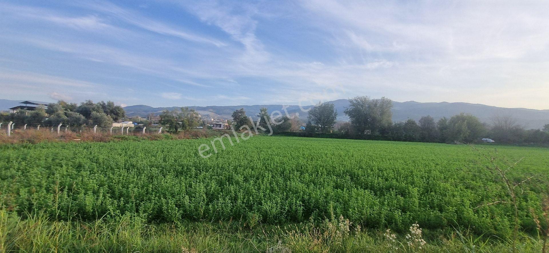 Aydın Nazilli Yöntem Emlaktan Yenipazar Donduran Mahallesinde Satılık Konut Ve Besihane İmarlı Arsa - Görsel 11