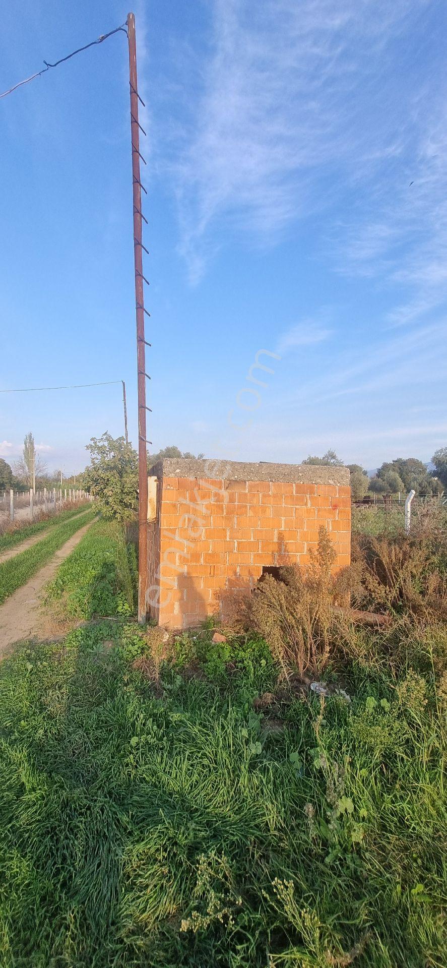 Aydın Nazilli Yöntem Emlaktan Yenipazar Donduran Mahallesinde Satılık Konut Ve Besihane İmarlı Arsa - Görsel 17