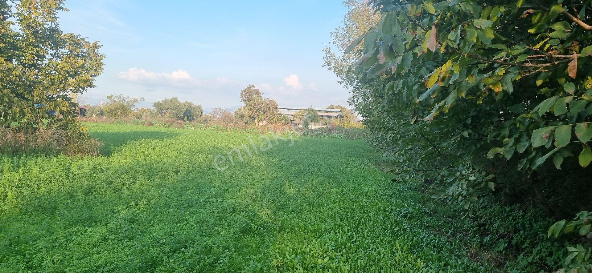 Aydın Nazilli Yöntem Emlaktan Yenipazar Donduran Mahallesinde Satılık Konut Ve Besihane İmarlı Arsa - Görsel 25