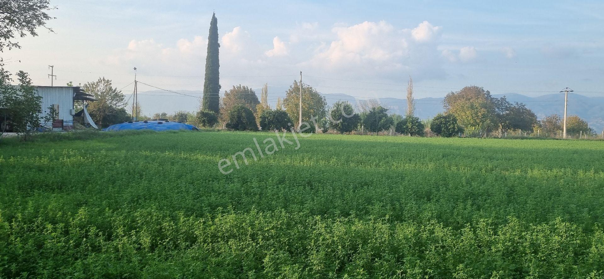 Aydın Nazilli Yöntem Emlaktan Yenipazar Donduran Mahallesinde Satılık Konut Ve Besihane İmarlı Arsa - Görsel 22