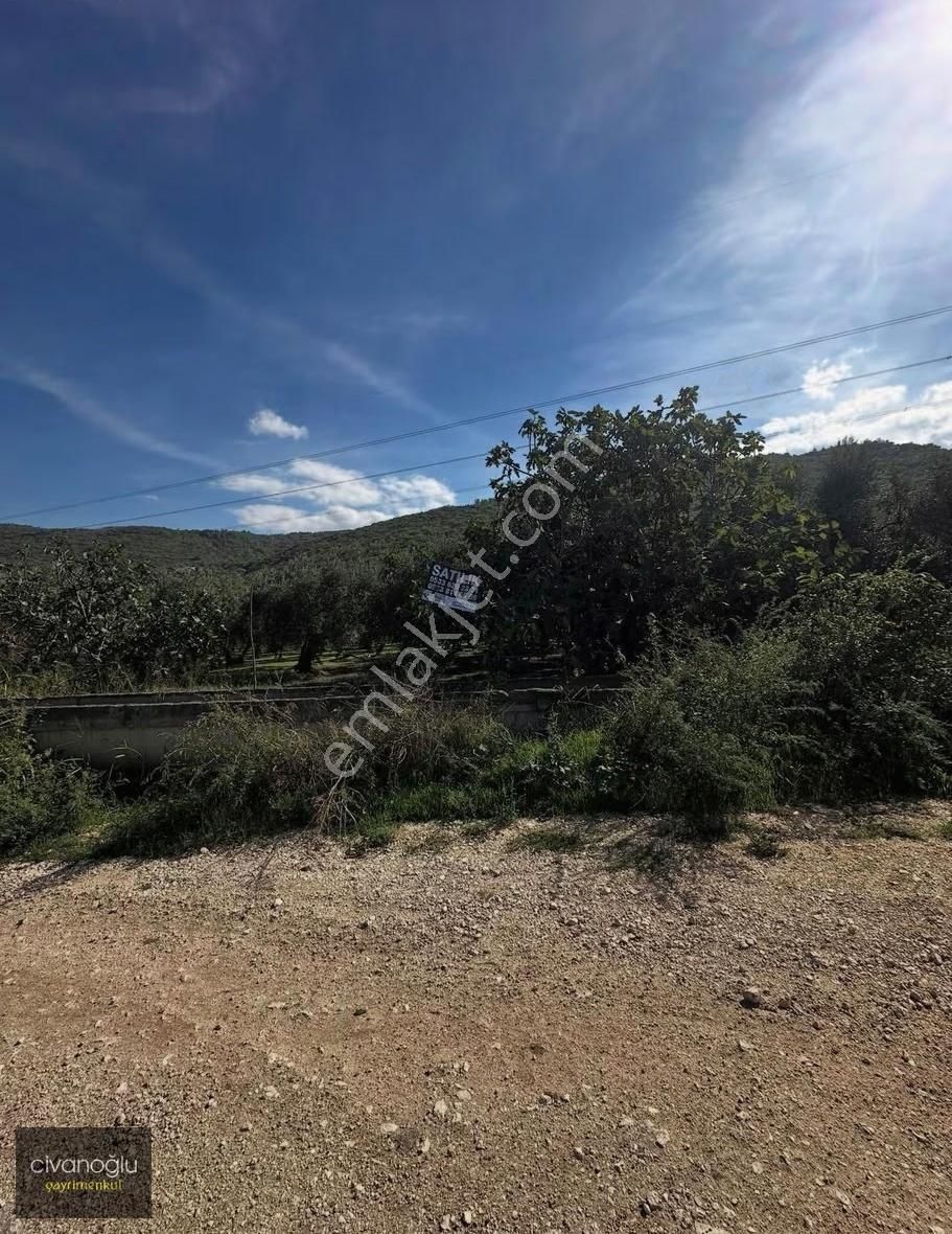 Nilüfer Fadıllı Mahallesi'nde Yola Cephe Tek Tapu Tarla