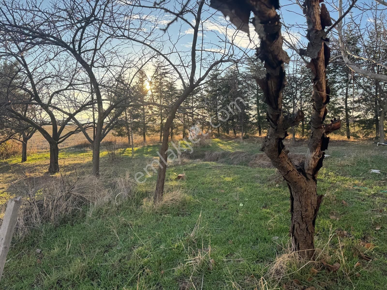 Edirne İpsala Satılık Çiflık - Görsel 12