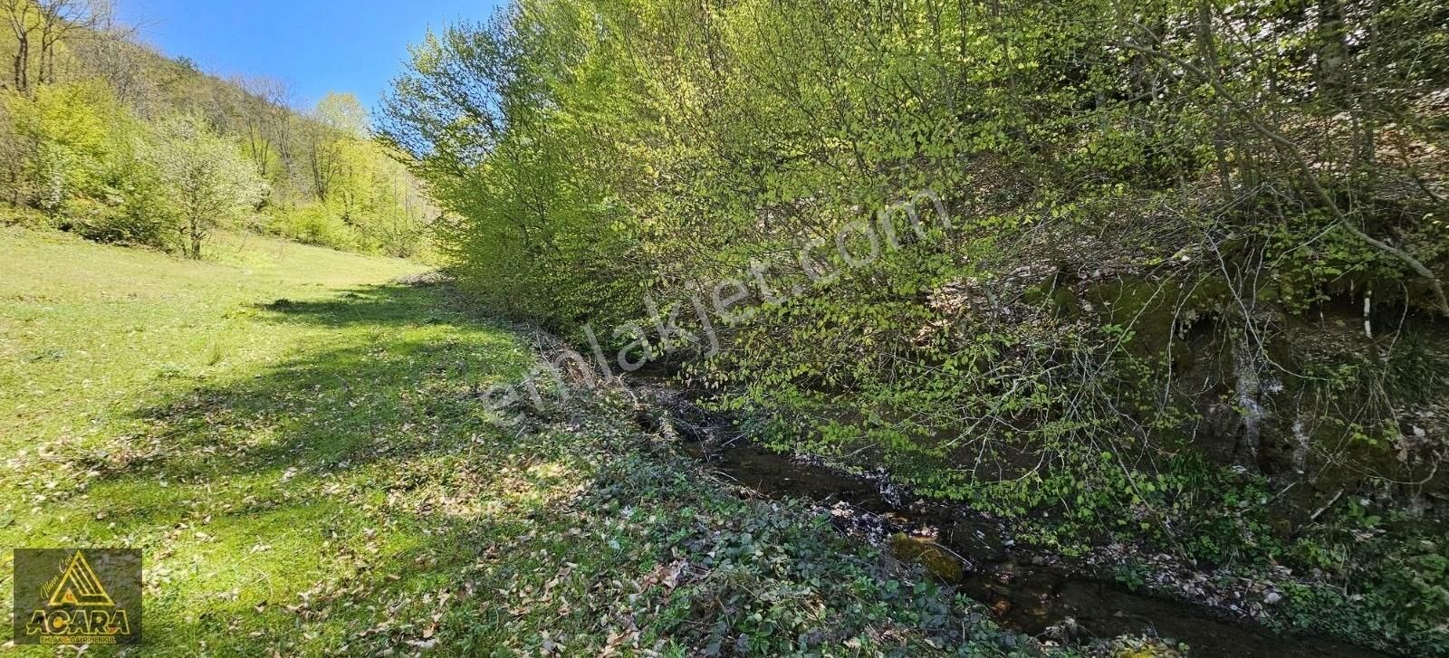 Acil!!acara'dan/iznik Elmalıda 4,250m² Dere Kenarı Harika Tarla - Görsel 17