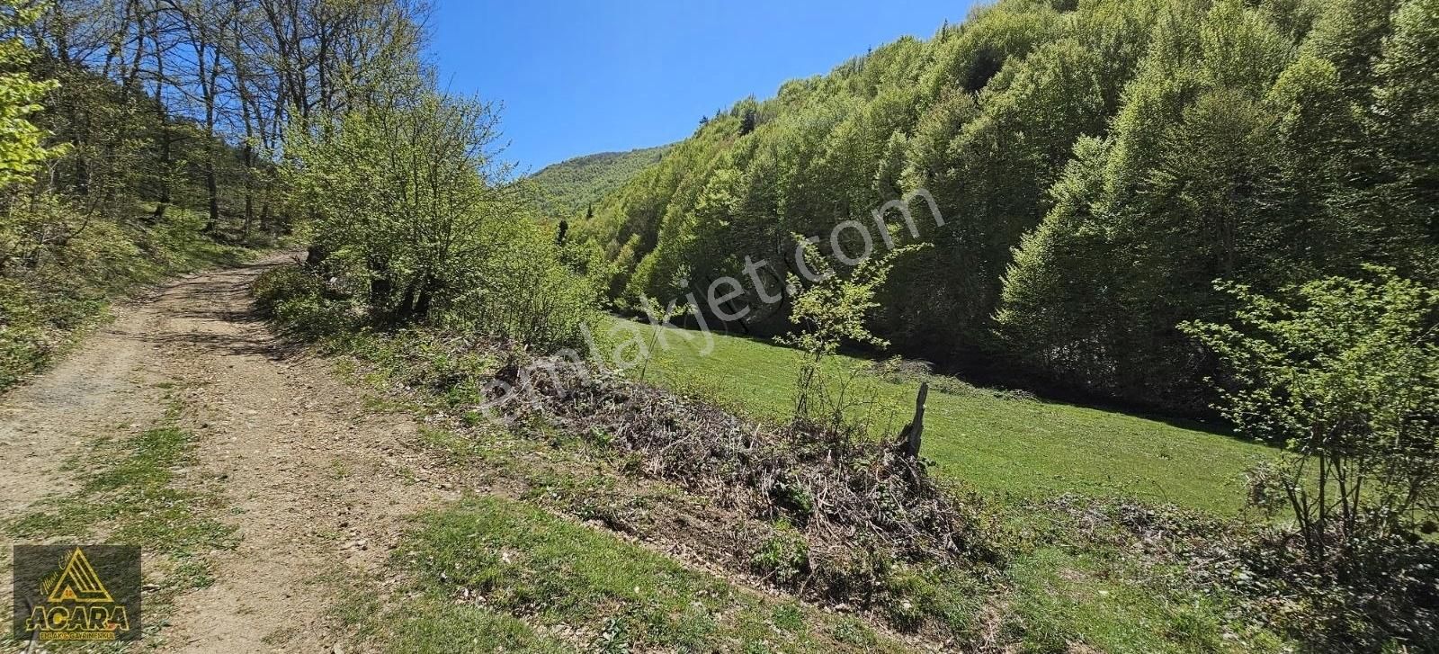 Acil!!acara'dan/iznik Elmalıda 4,250m² Dere Kenarı Harika Tarla - Görsel 14