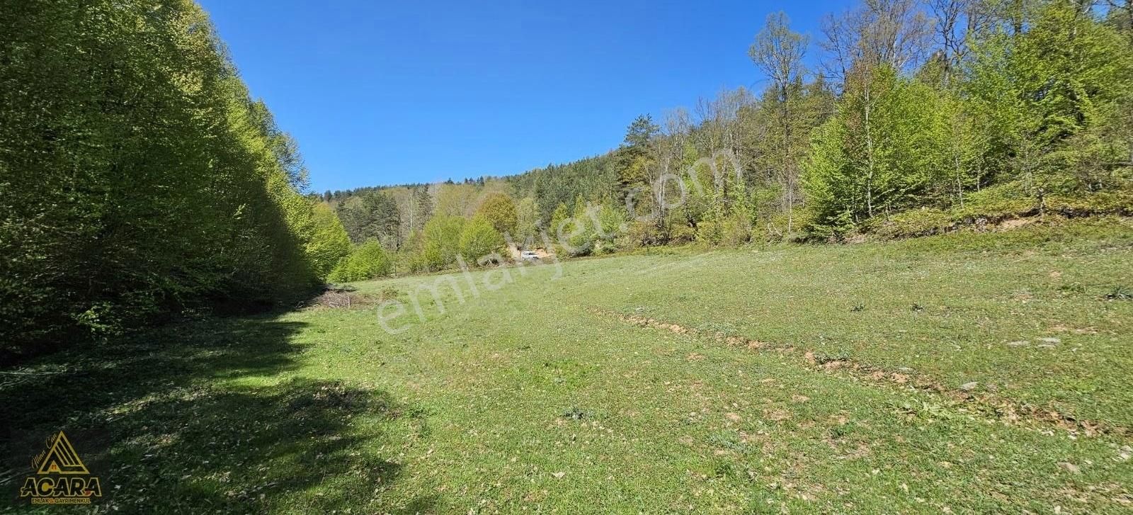 Acil!!acara'dan/iznik Elmalıda 4,250m² Dere Kenarı Harika Tarla - Görsel 31