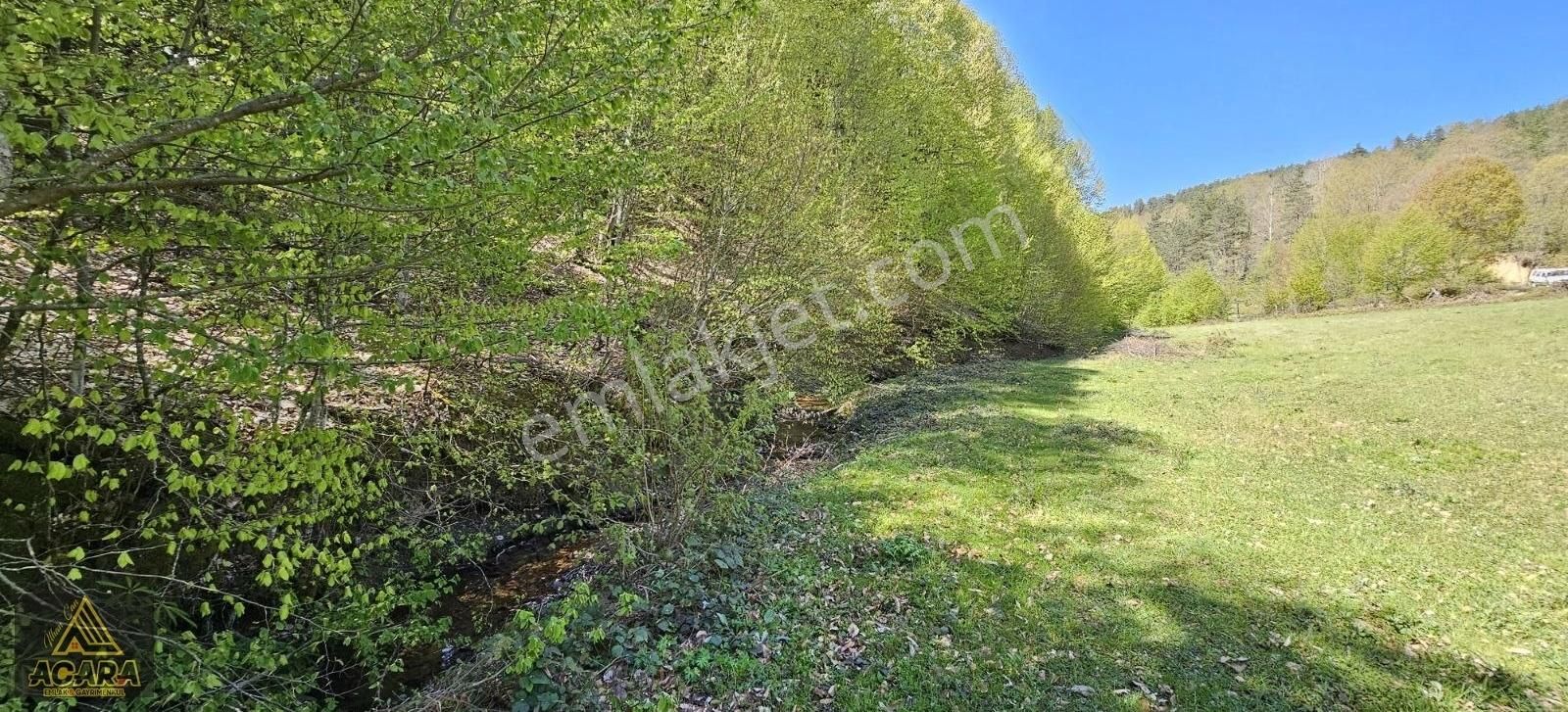 Acil!!acara'dan/iznik Elmalıda 4,250m² Dere Kenarı Harika Tarla - Görsel 13