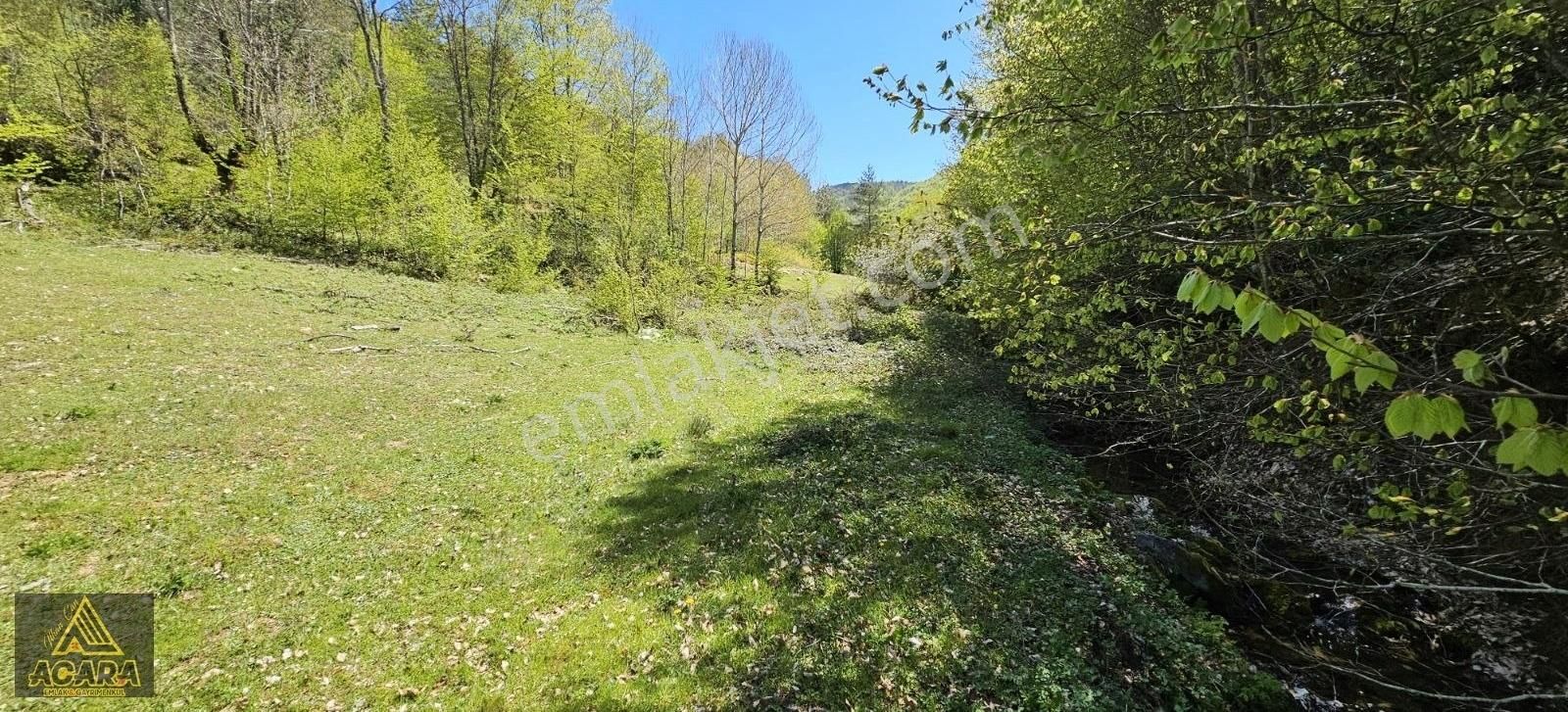 Acil!!acara'dan/iznik Elmalıda 4,250m² Dere Kenarı Harika Tarla - Görsel 20