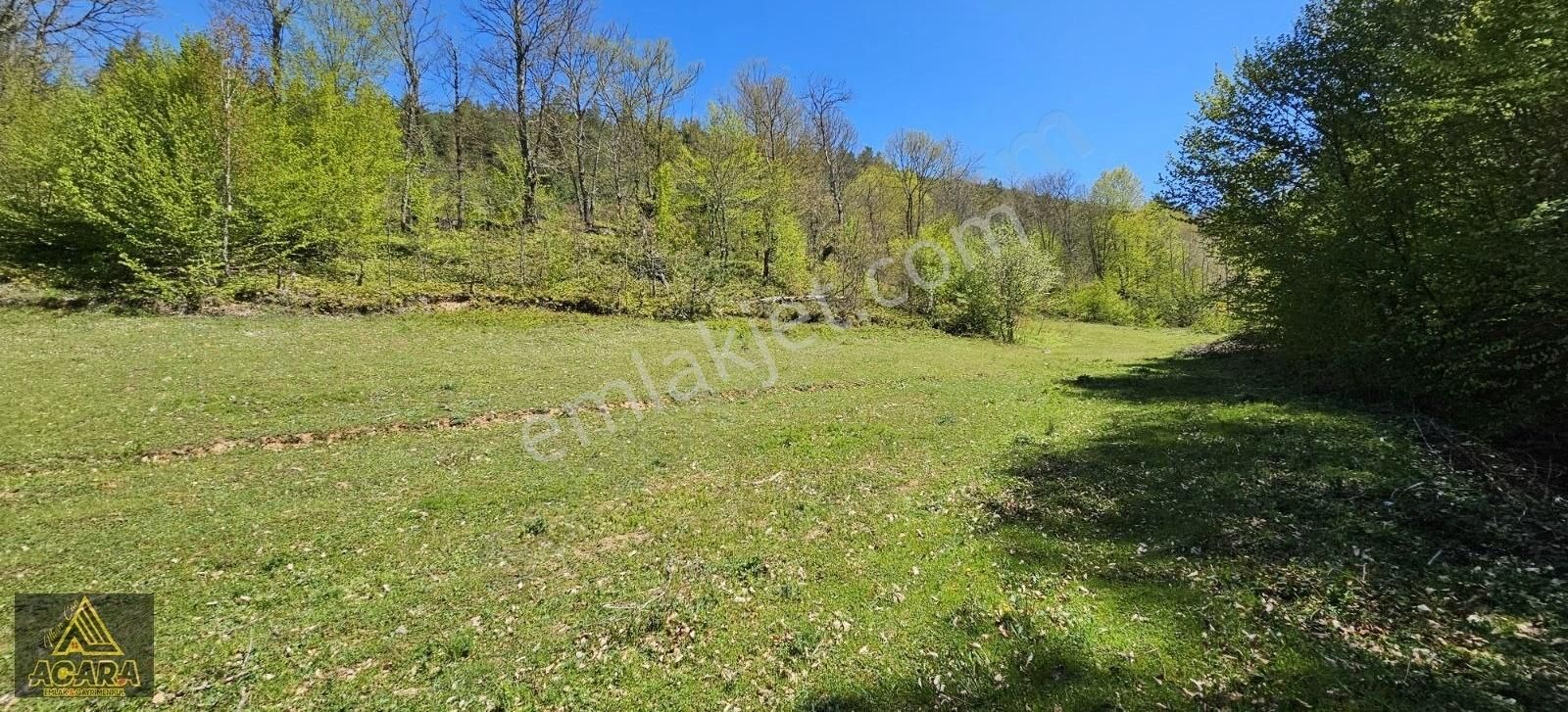 Acil!!acara'dan/iznik Elmalıda 4,250m² Dere Kenarı Harika Tarla - Görsel 7