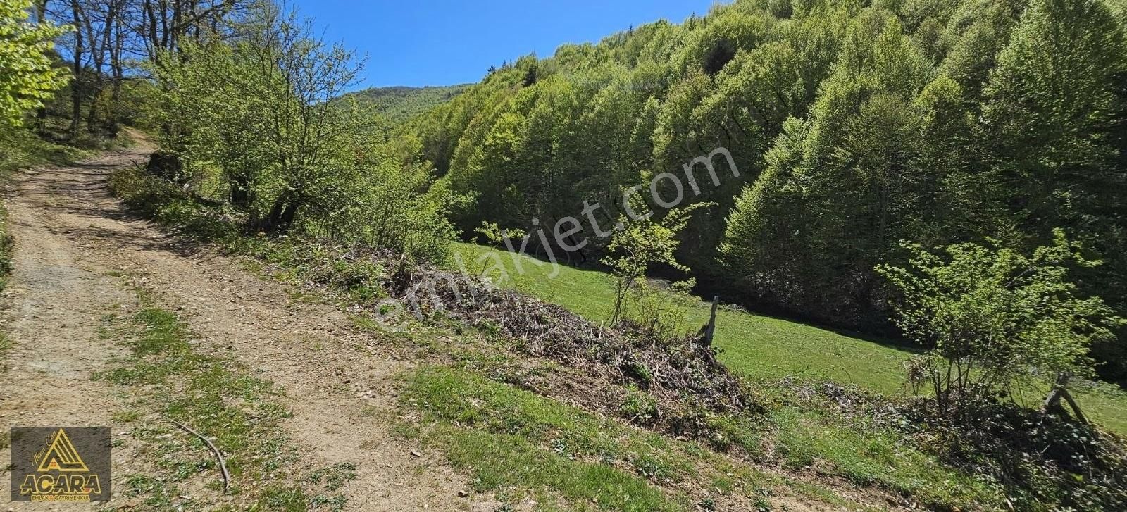 Acil!!acara'dan/iznik Elmalıda 4,250m² Dere Kenarı Harika Tarla - Görsel 2