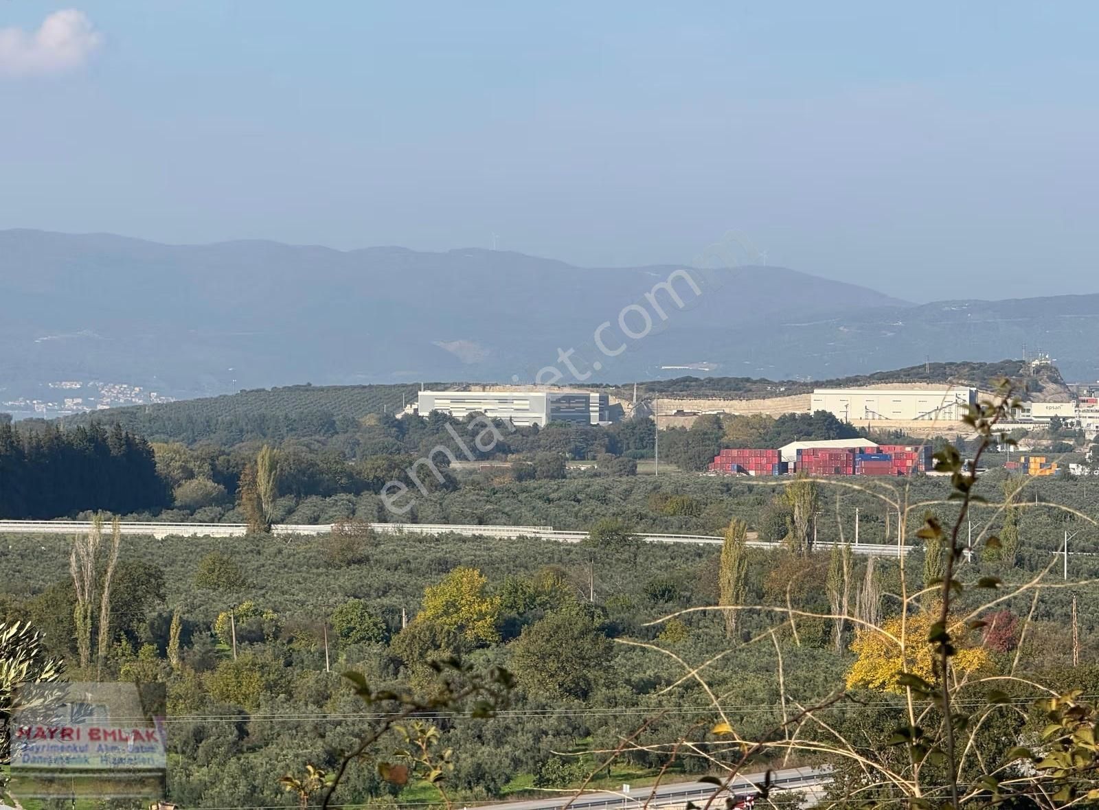 Gemlik Gencalide Deniz Manzaralı 6060 M2 Togga Yakın Zeytinlik - Görsel 2