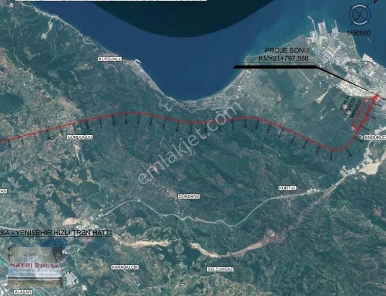 Gemlik Gencalide Deniz Manzaralı 6060 M2 Togga Yakın Zeytinlik - Görsel 20