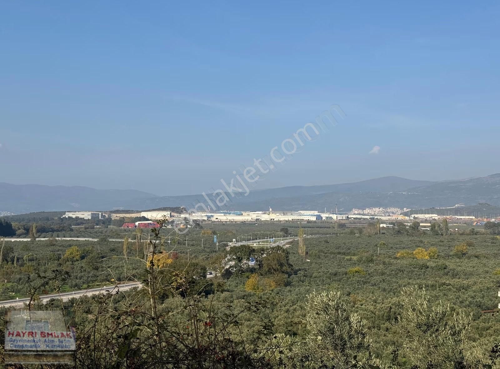 Gemlik Gencalide Deniz Manzaralı 6060 M2 Togga Yakın Zeytinlik - Görsel 9