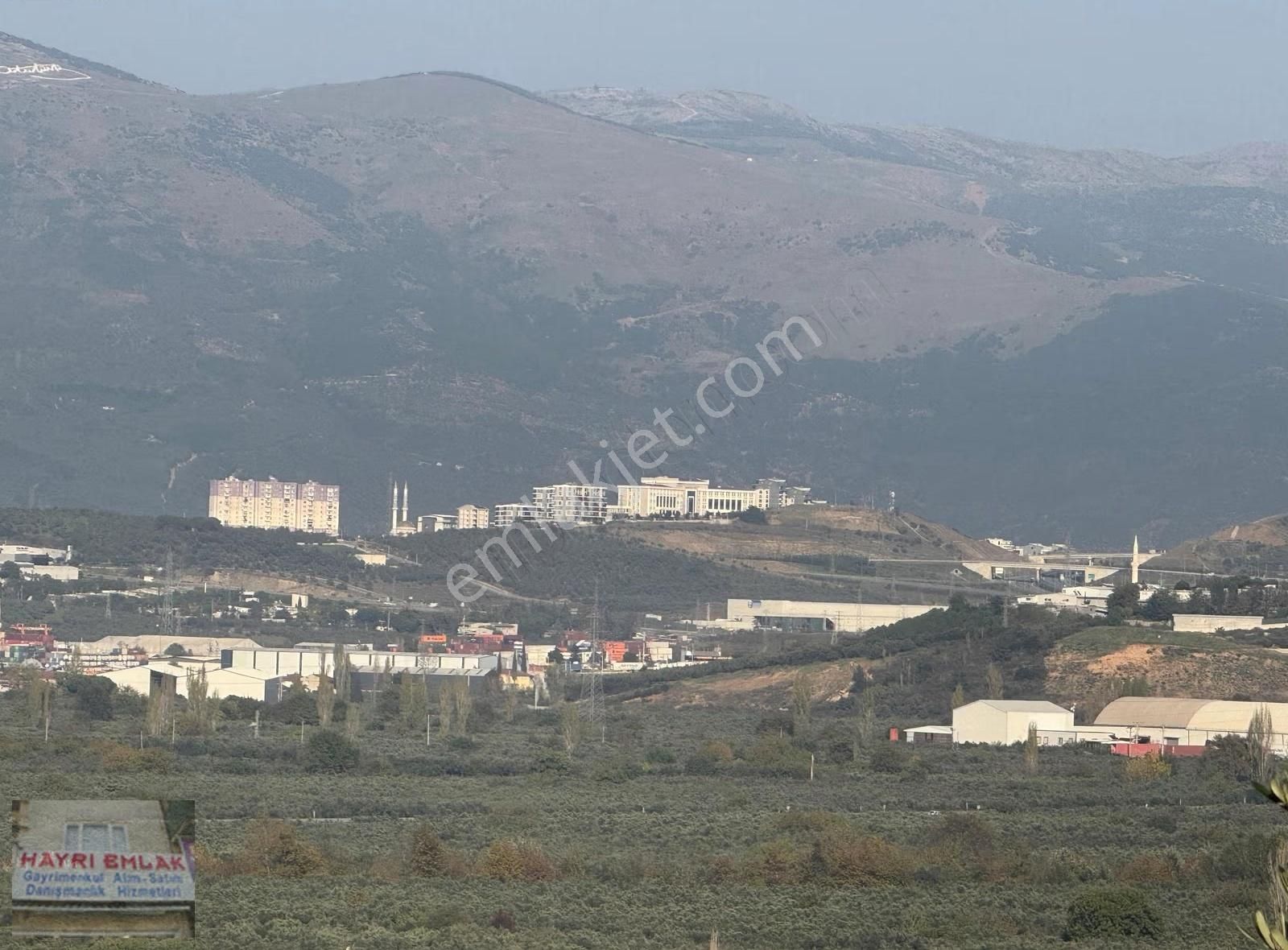 Gemlik Gencalide Deniz Manzaralı 6060 M2 Togga Yakın Zeytinlik - Görsel 21