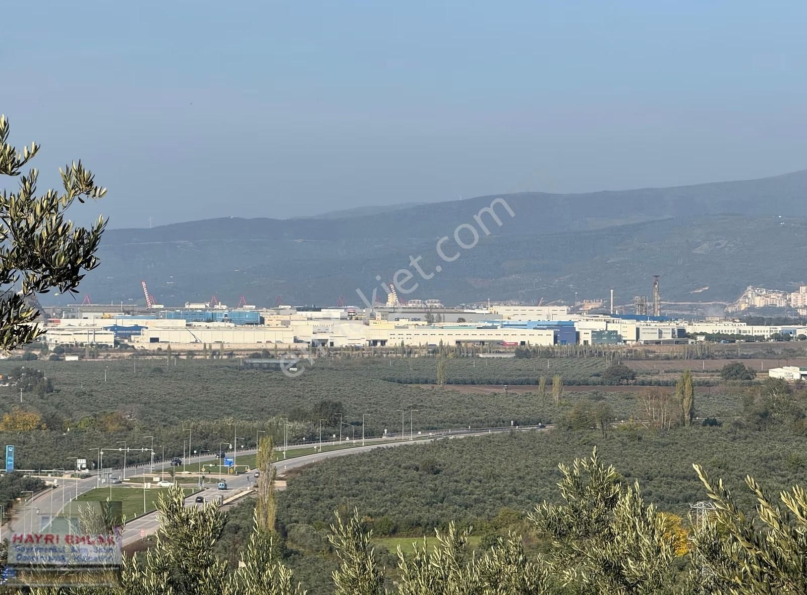 Gemlik Gencalide Deniz Manzaralı 6060 M2 Togga Yakın Zeytinlik - Görsel 19